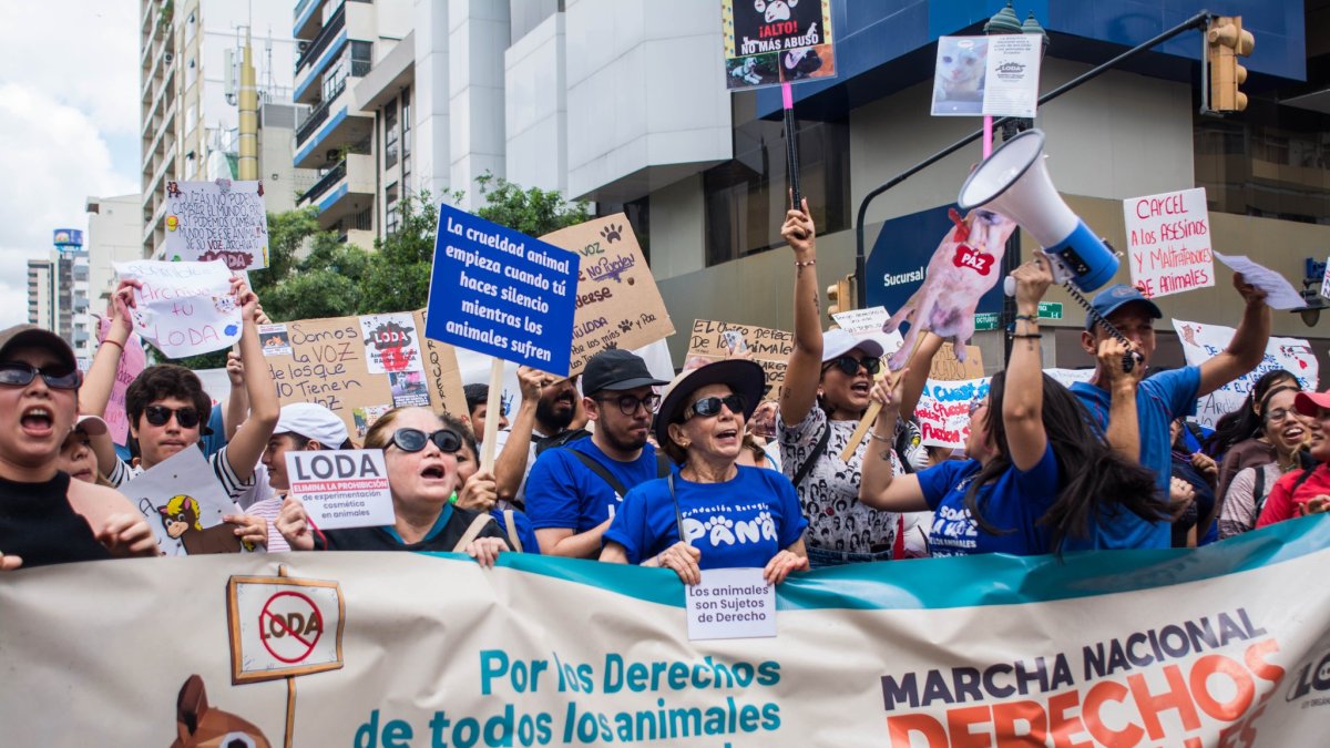 La primera marcha nacional por los derechos de los animales se realizó en febrero pasado. En Guayaquil se dio en el bulevar 9 de Octubre.
