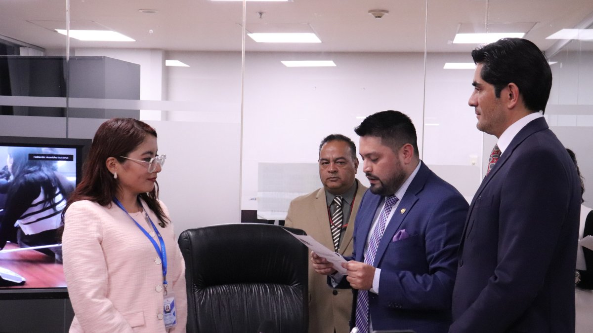 La asambleísta de ADN, Nathaly Farinango, preside la Comisión de Régimen Económico.