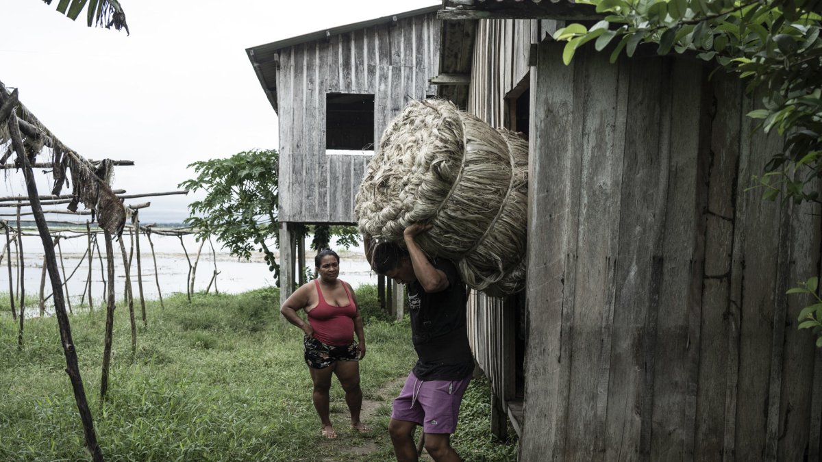 Un agricultor carga fardos de fibra de malva este domingo, en la comunidad de Boca do Supiá, en la ciudad de Manacapuru (Brasil).
