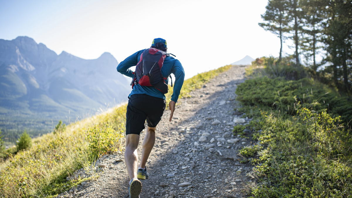 Equipos de rescate recorren el páramo andino en busca de Patricio Factos.