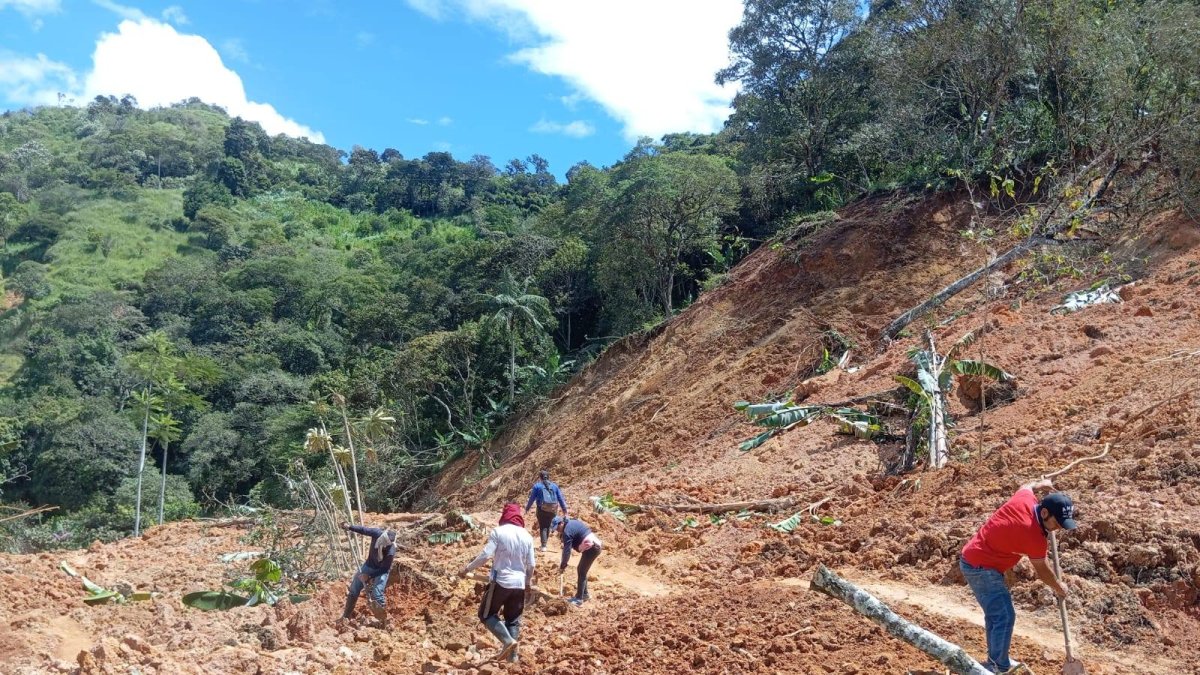 Habitantes de zonas rurales se han unido para limpiar las vías, ante la falta de presencia estatal.