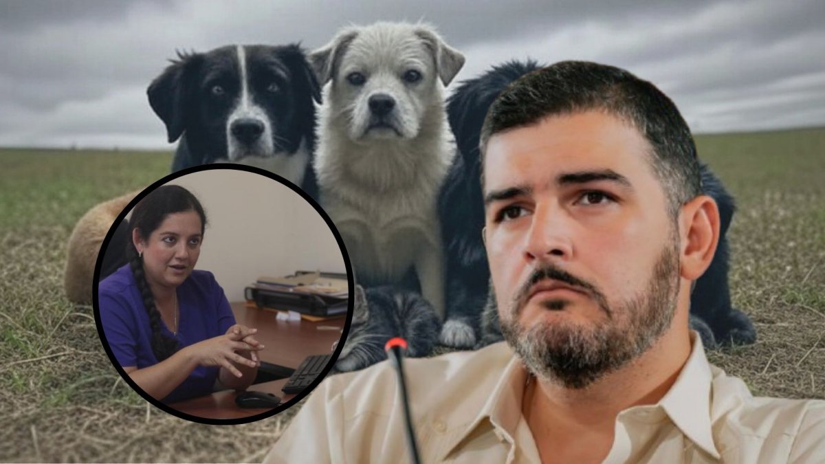 El alcalde respondió a las denuncias de Rescate Animal y señaló a su exdirectora.