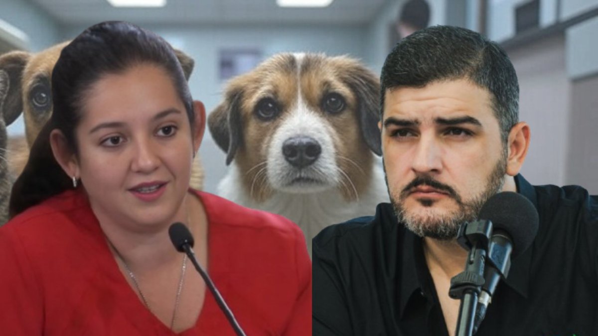 La exdirectora municipal y activista de los derechos de los animales rechazó los señalamientos del alcalde de Guayaquil.