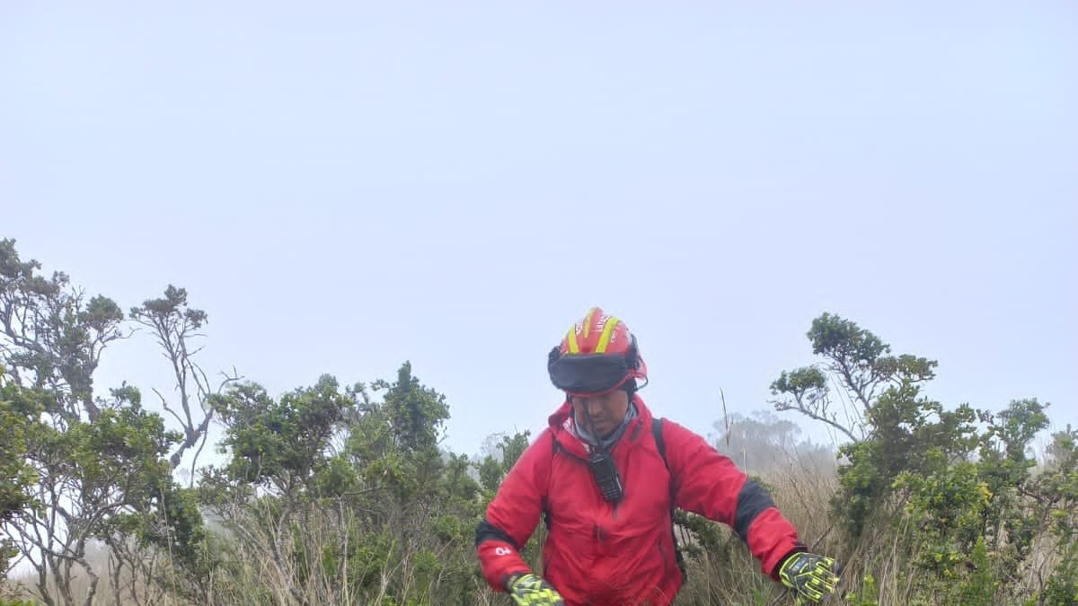 Personal del Cuerpo de Bomberos participan en las labores de búsqueda.