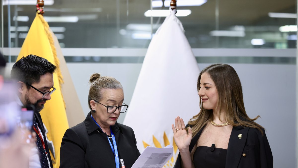 La asambleísta María Del Carmen Carrasco Yépez presentó su renuncia a la bancada de ADN.