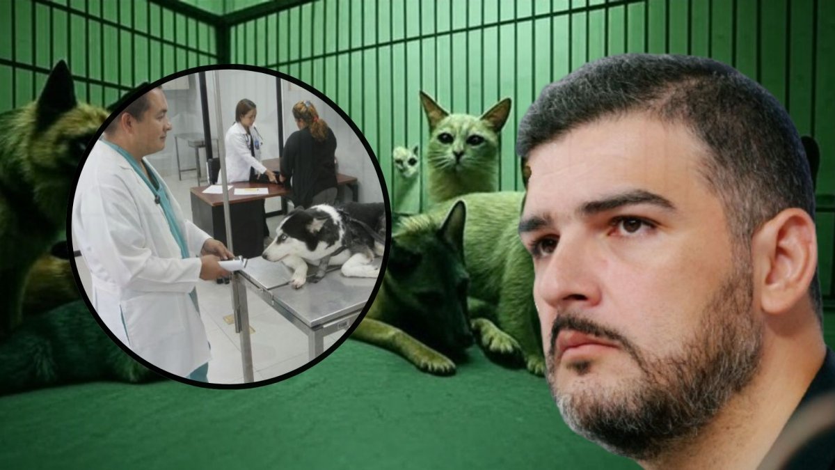 La gestión de Aquiles Álvarez en asuntos de bienestar animal ha sido 'atareada'