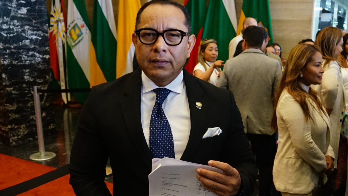 El legislador Ronal González dijo que el correísmo acudirá a la justicia para pedir que les permitan intervenir en el Pleno de la Asamblea.