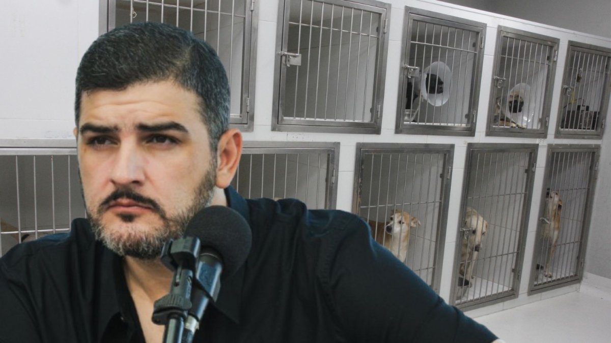 Durante su enlace radial, Aquiles Álvarez se refirió a las denuncias y pronunciamientos realizados por Rescate Animal.