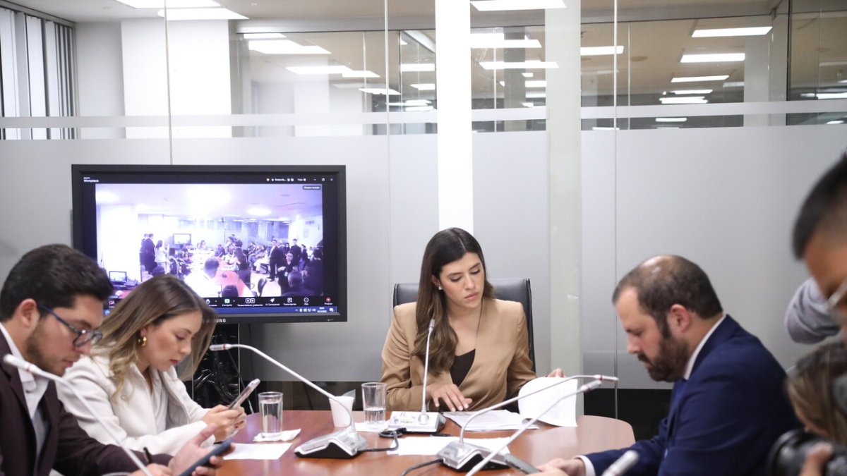 La Comisión de Desarrollo Económico está controlada por el oficialismo.