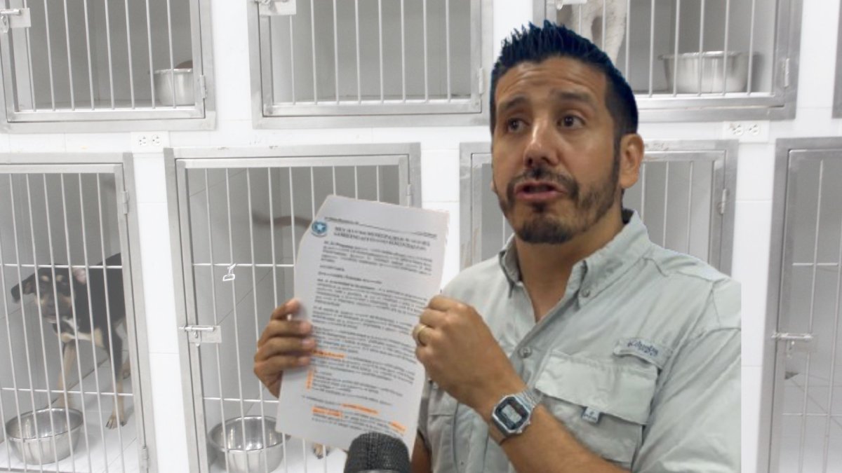 Carlos Luis Román defiende su rol en ProAnimal, a pesar de no ser veterinario.