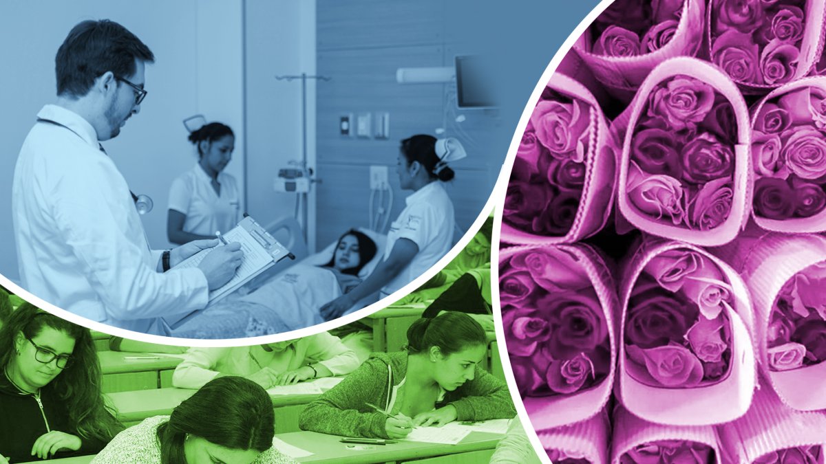 Los sectores de salud, enseñanza y agricultura registraron un crecimiento destacado durante el primer trimestre de 2025