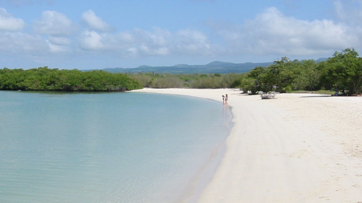 La playa Tortuga Bay se ubica en la isla Santa Cruz.