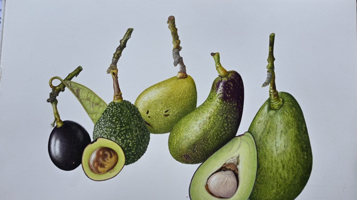 La exhibición se titula Cosechando Herencia: Celebrando la Diversidad de Cultivos en Ecuador.