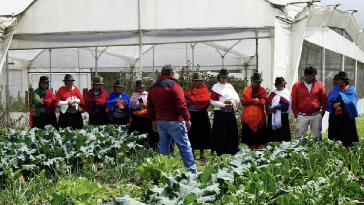 Llaktapura impulsa el empoderamiento de mujeres indígenas en Ambato con formación agroecológica y derechos.