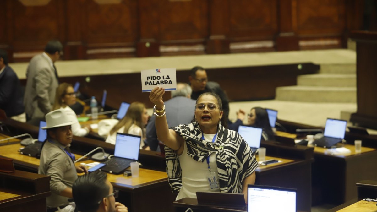 El miércoles 21 de mayo de 2025, el correísmo llegó con carteles al Pleno como forma de reclamo.