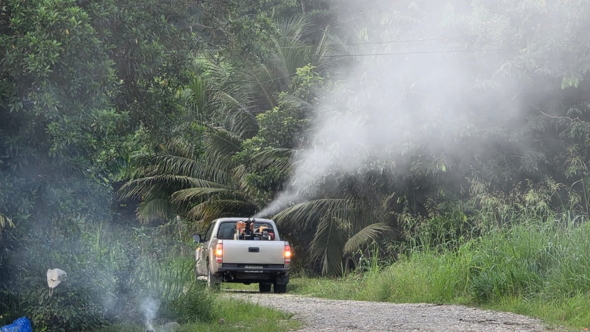 Imagen referencial sobre la fumigación para controlar los vectores de enfermedades.