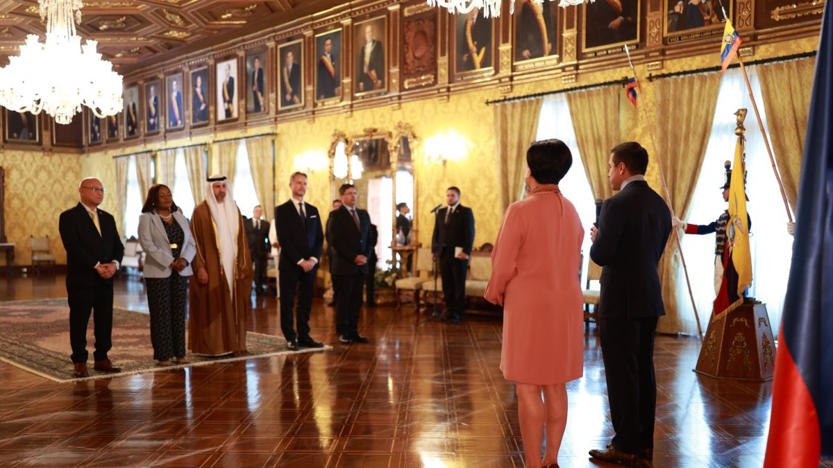 Diplomáticos extranjeros se presentaron en Carondelet.