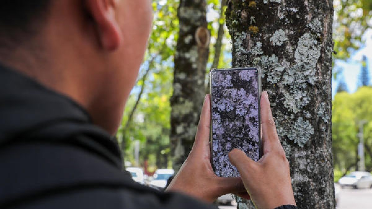 Ecuador inicia identificación de especies mediante fotos.