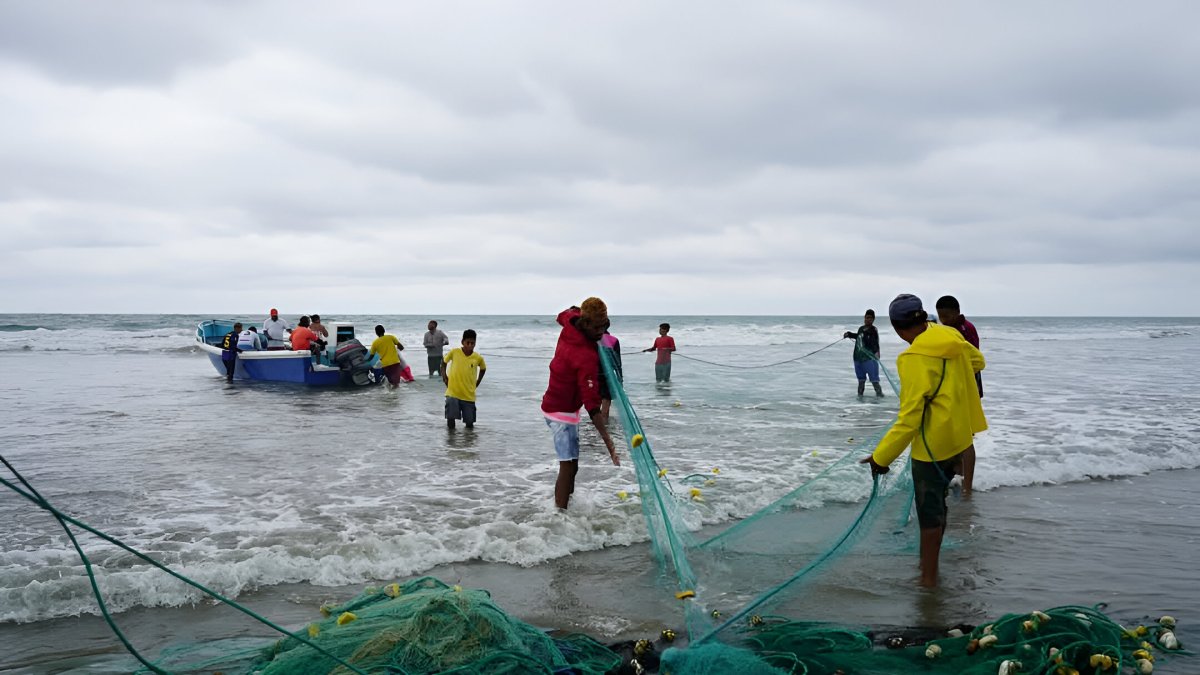 Labor. El chinchorro es una técnica de pesca que se realiza en la orilla.