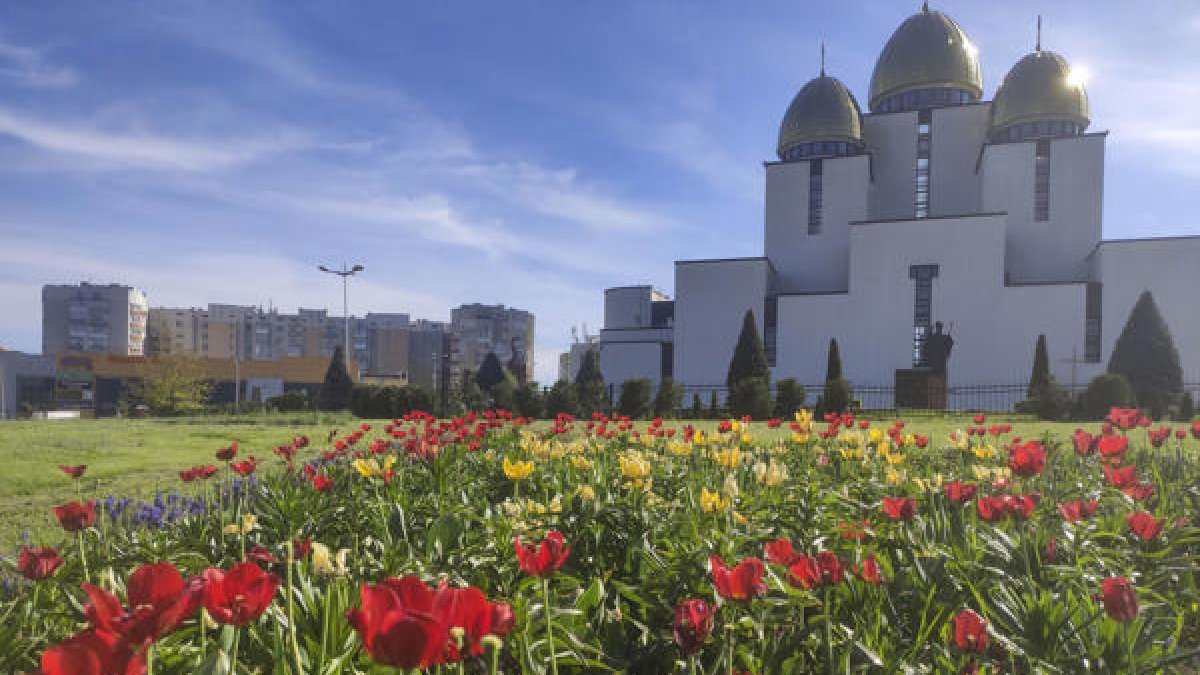Florecimiento. Cientos de miles de tulipanes, cerezos, castaños, lilas y otras plantas ofrecen un respiro psicológico vital a los ucranianos.