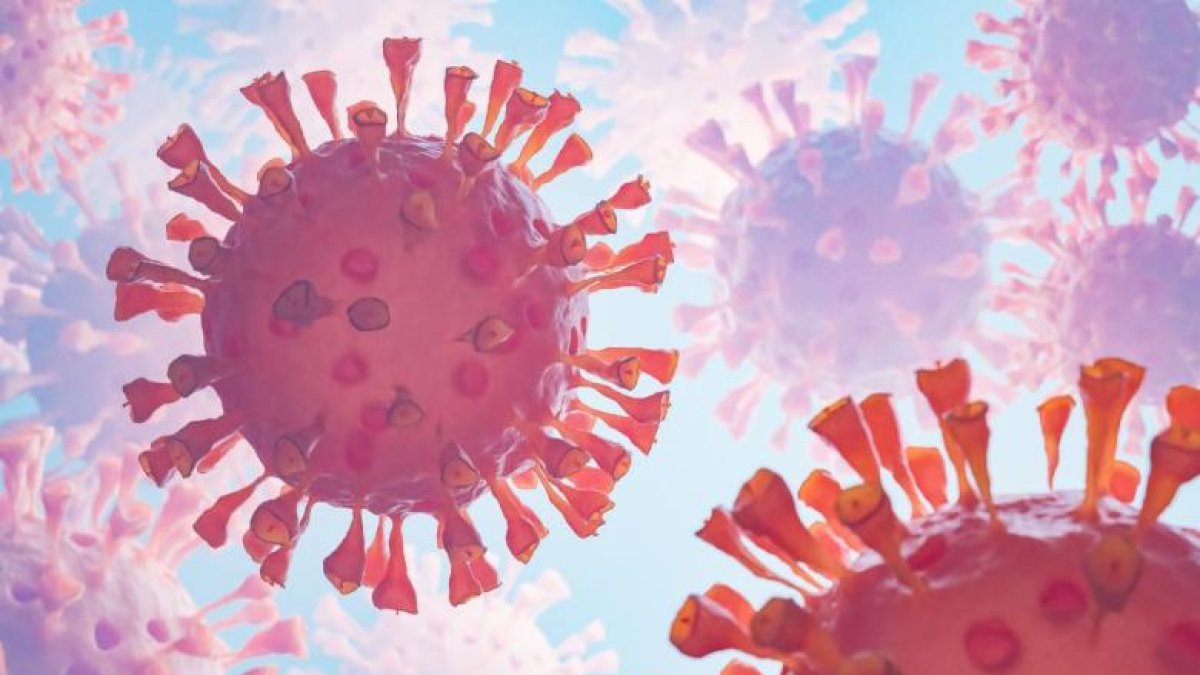 Referencial. La OMS busca luchar contra las enfermedades raras.