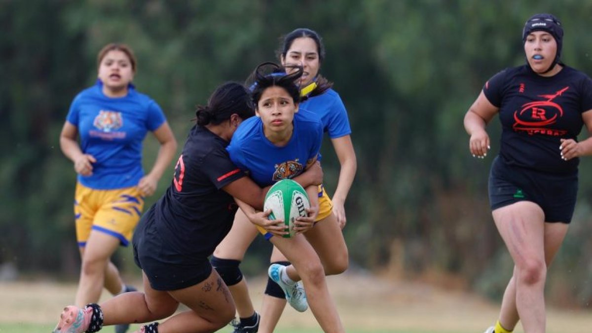 Universidad Nacional Autónoma de México (UNAM) y Nuevo León durante un partido.