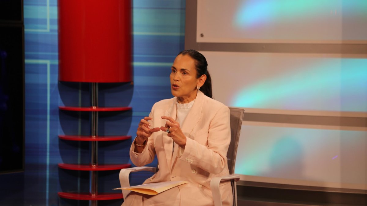 La ministra de Energía Inés Manzano anunció la negociación con un grupo de España.