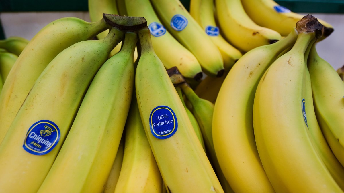 La empresa Chiquita exporta banano a algunos países del mundo.