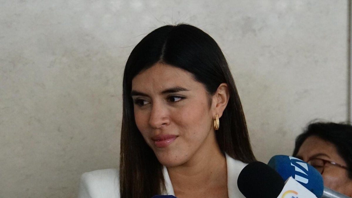 La presidenta de la Comisión de Desarrollo Económico Valentina Centeno anunció el prir debate de la ley.