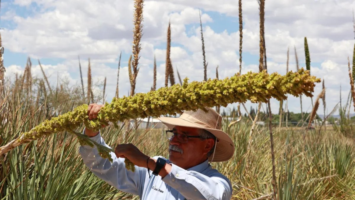 Cumplimiento. Las grandes empresas deben cumplir con la trazabilidad de productos a partir de diciembre.