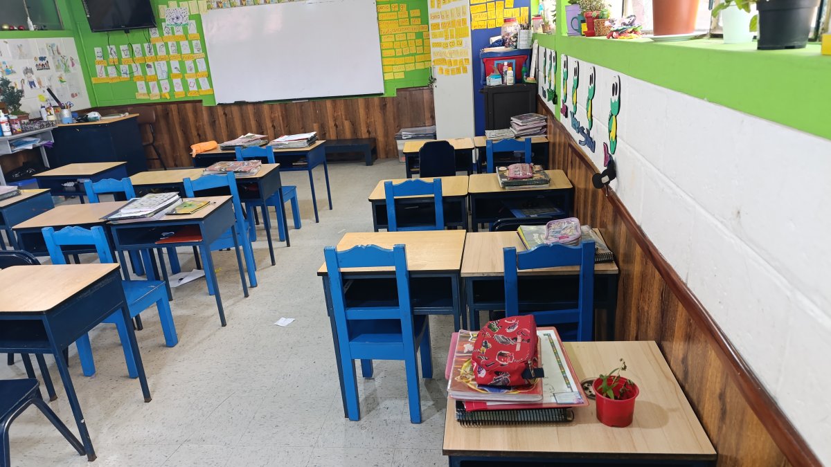 Las clases serán virtuales por al menos 20 días