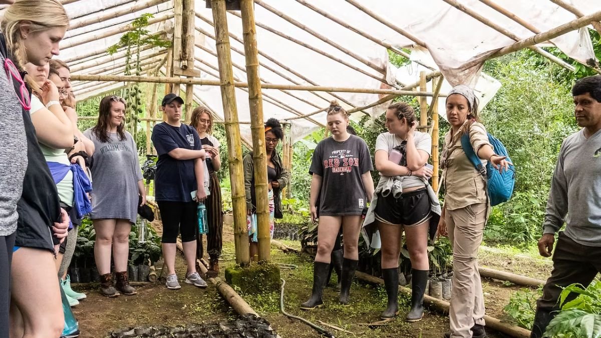 ONG. La Fundación Maquipucuna, pionera de la conservación en Ecuador, ha logrado proteger miles de hectáreas de bosque andino tropical