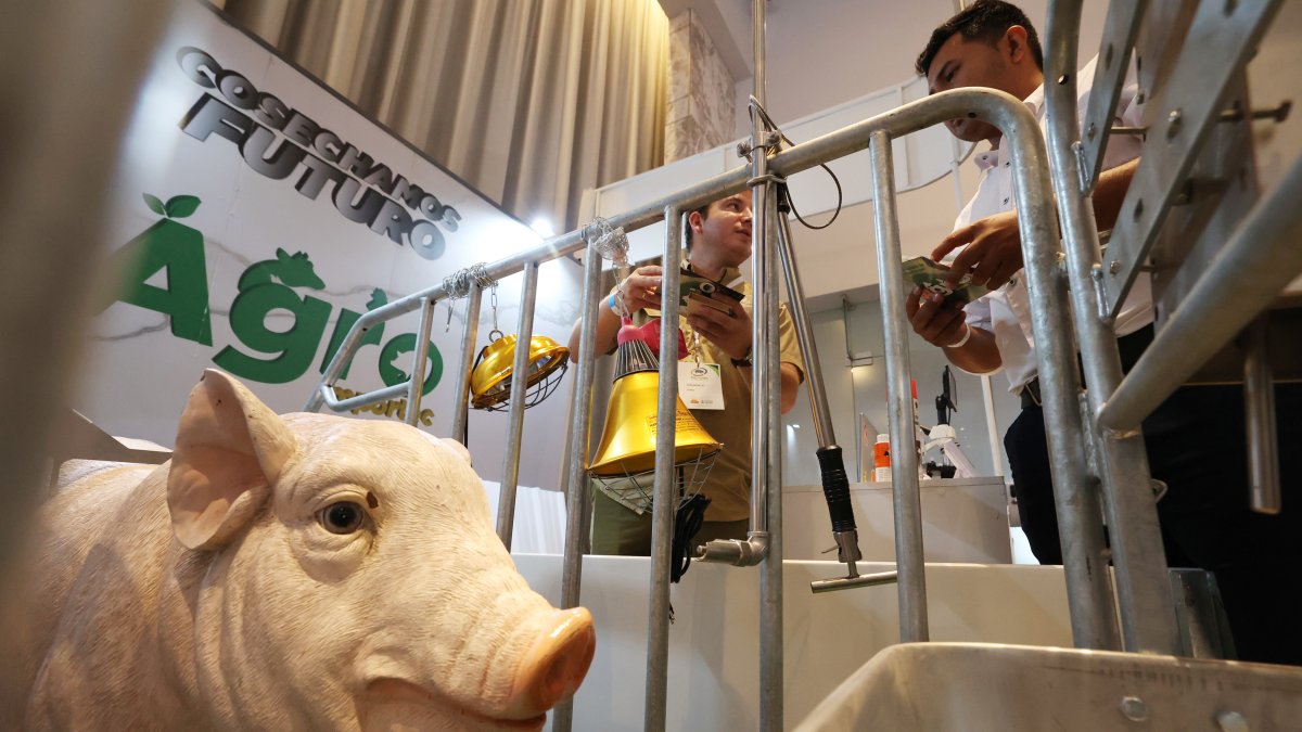 Congreso. Una treintena de empresas dan a conocer al público la innovación de servicios en esta industria.