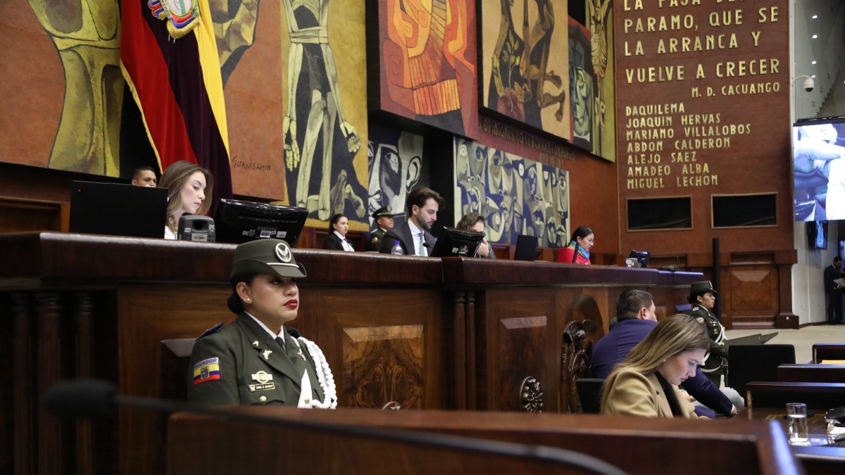 El asambleísta del oficialismo Niels Olsen preside el Legislativo.