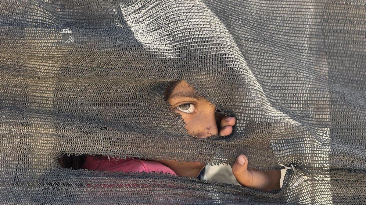 Una niña se asoma tras una tienda improvisada en el puerto en la Ciudad de Gaza, donde miles de personas desplazadas por los ataques israelíes han encontrado refugio, el 20 de mayo de 2025.