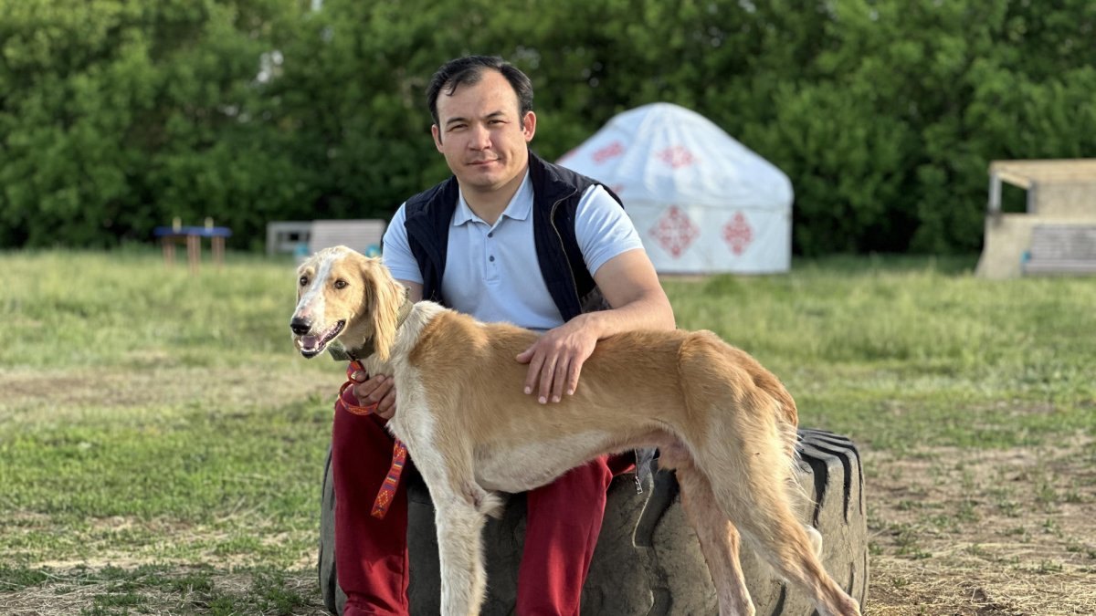 Kazajistán está tratando de recuperar la población de la raza de perro nacional, los tazis.