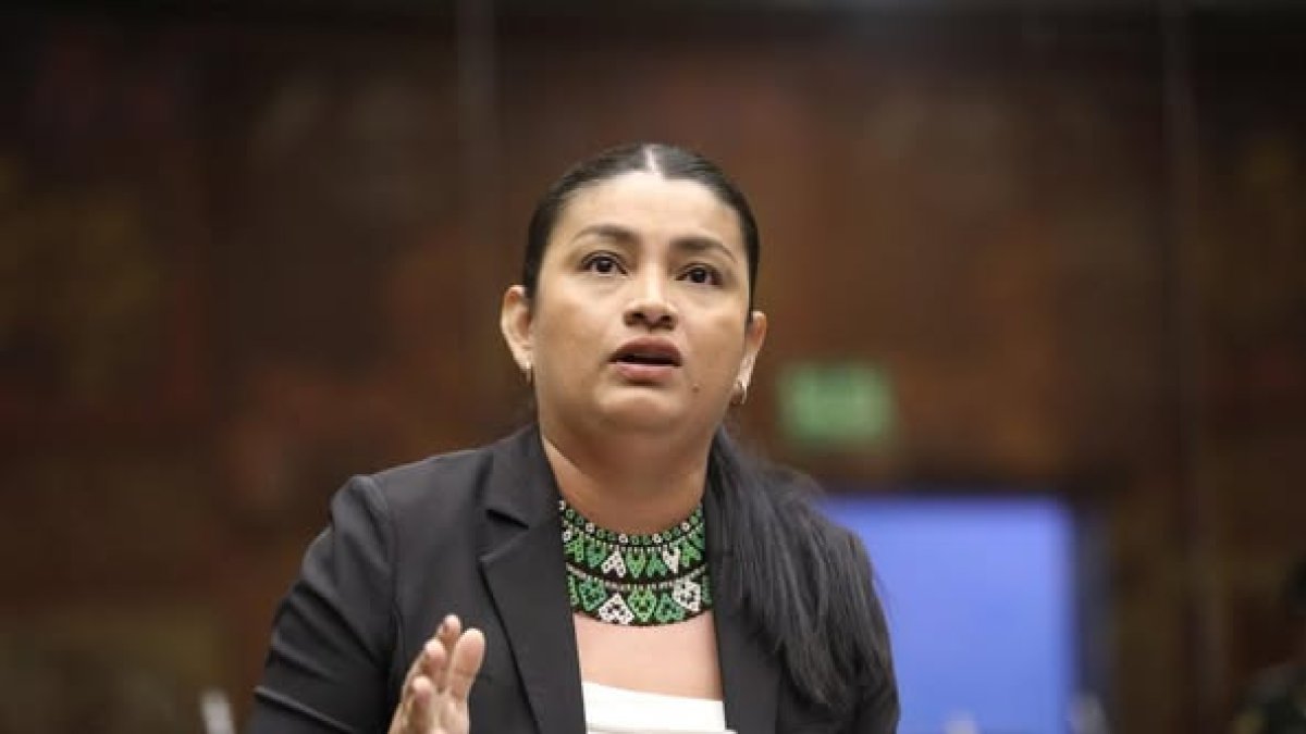 La asambleísta del correísmo Victoria Desintonio fue sancionada por el Tribunal Contencioso Electoral.