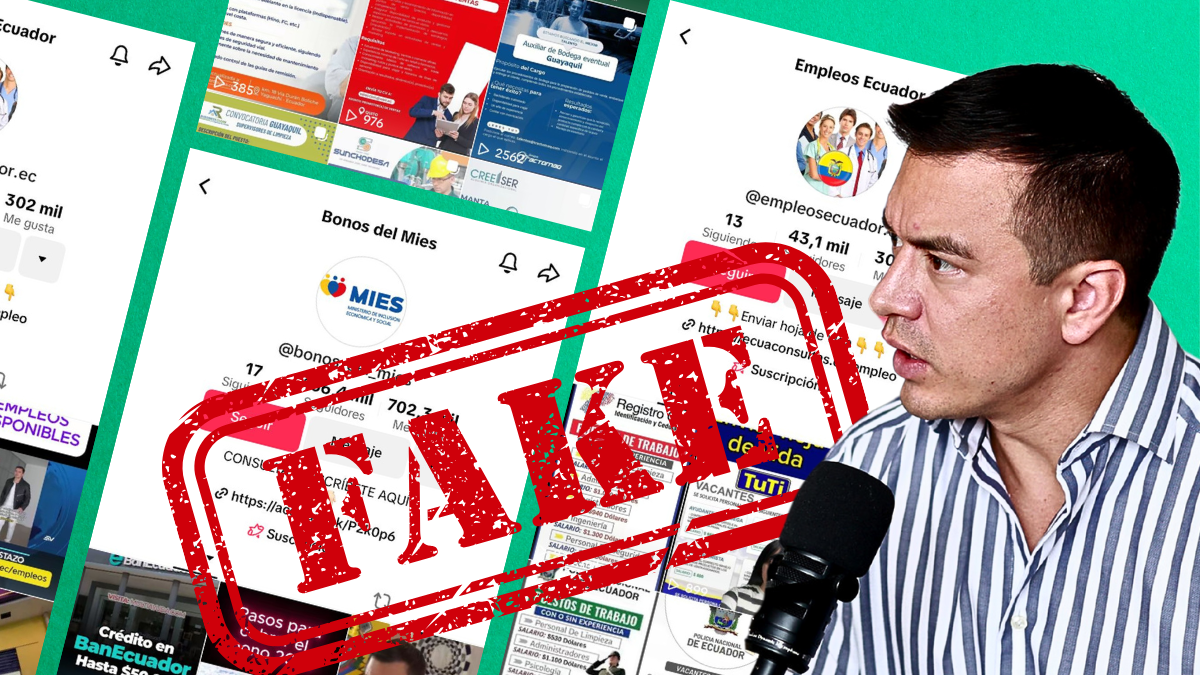 Cuentas en TikTok se hacen pasar por el presidente Daniel Noboa y por instituciones del Estado.