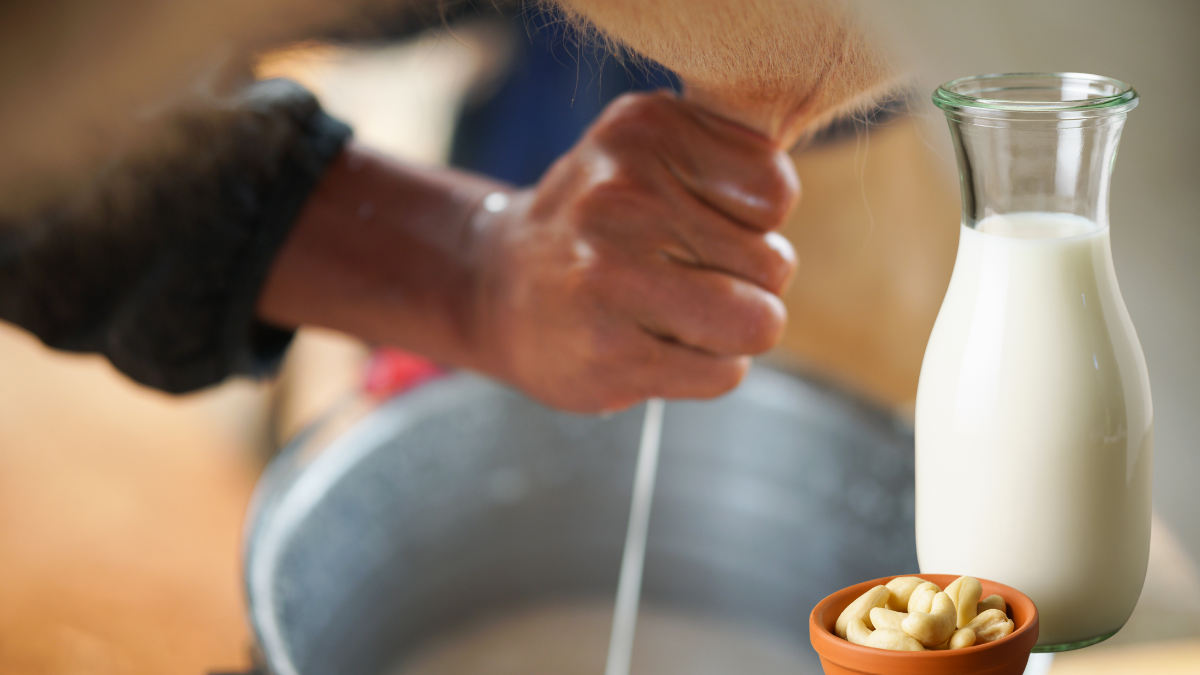 El nuevo precio de la leche UHT en funda aplicará desde este 1 de junio de 2025.