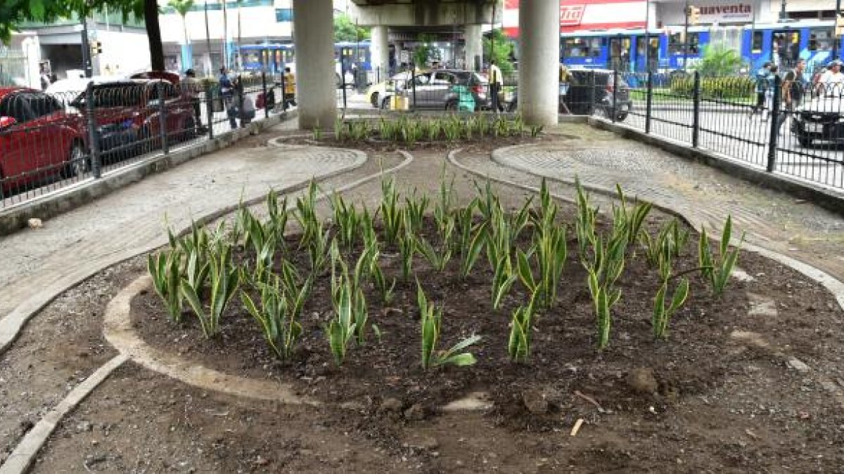 El Municipio de Guayaquil intervino el puente tras la publicación de EXPRESO.