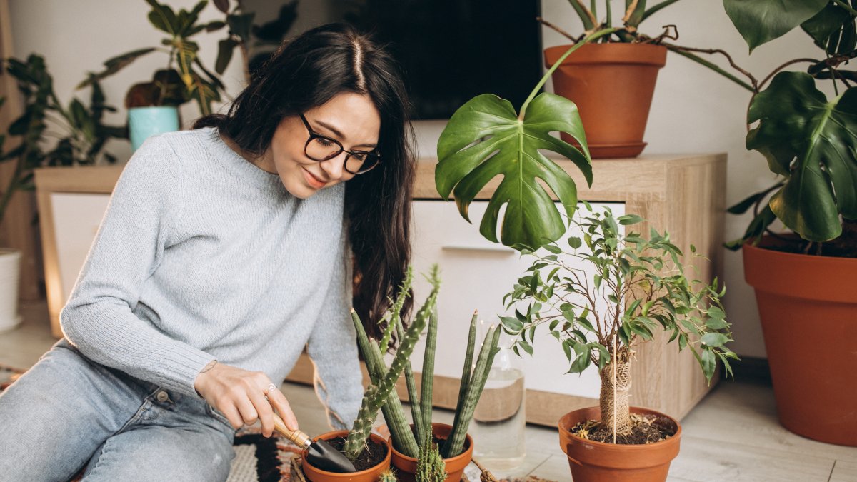 Cuidar las plantas y pasar tiempo al aire libre ayuda a reducir nuestros niveles de estrés, ansiedad y fatiga mental.