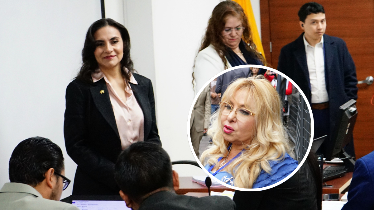 La jueza Nubia Vera concedió la acción de protección en favor de la entonces vicepresidenta Verónica Abad en diciembre de 2024.