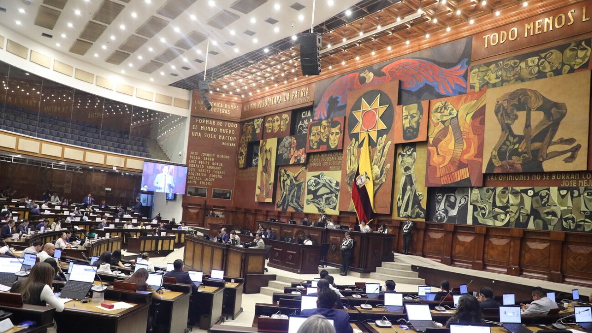 El Pleno de la Asamblea conoció en primer debate la ley urgente para desarticular las economías criminales.
