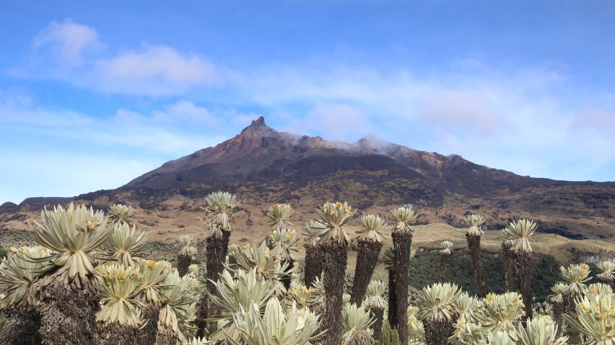 El Teatro Sucre acoge muestra de biodiversidad.