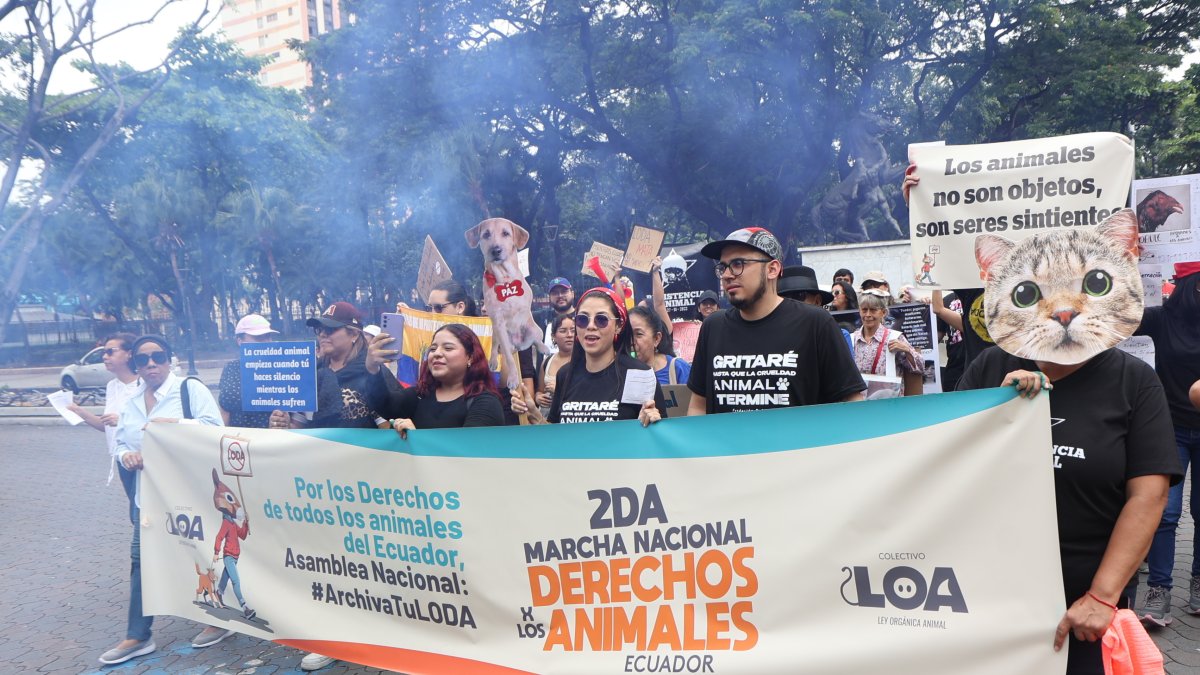 En Guayaquil, las organizaciones se citaron en el parque Centenario.