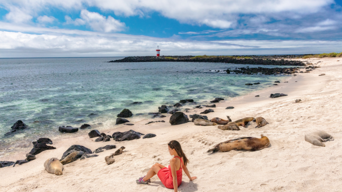 Ciudadanos aprovechan el feriado de agosto para pasear.