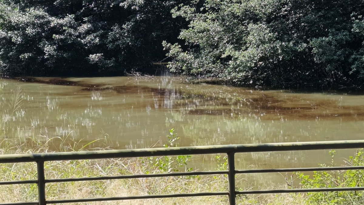 La marea desplazó la sustancia hacia Urdesa y Kennedy, según confirmaron las autoridades.
