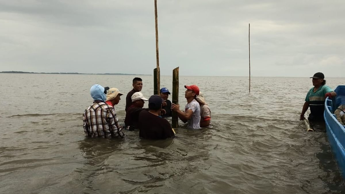 ONG. Fundación CALISUR está comprometida a ser un modelo de conservación ambiental con desarrollo económico inclusivo.