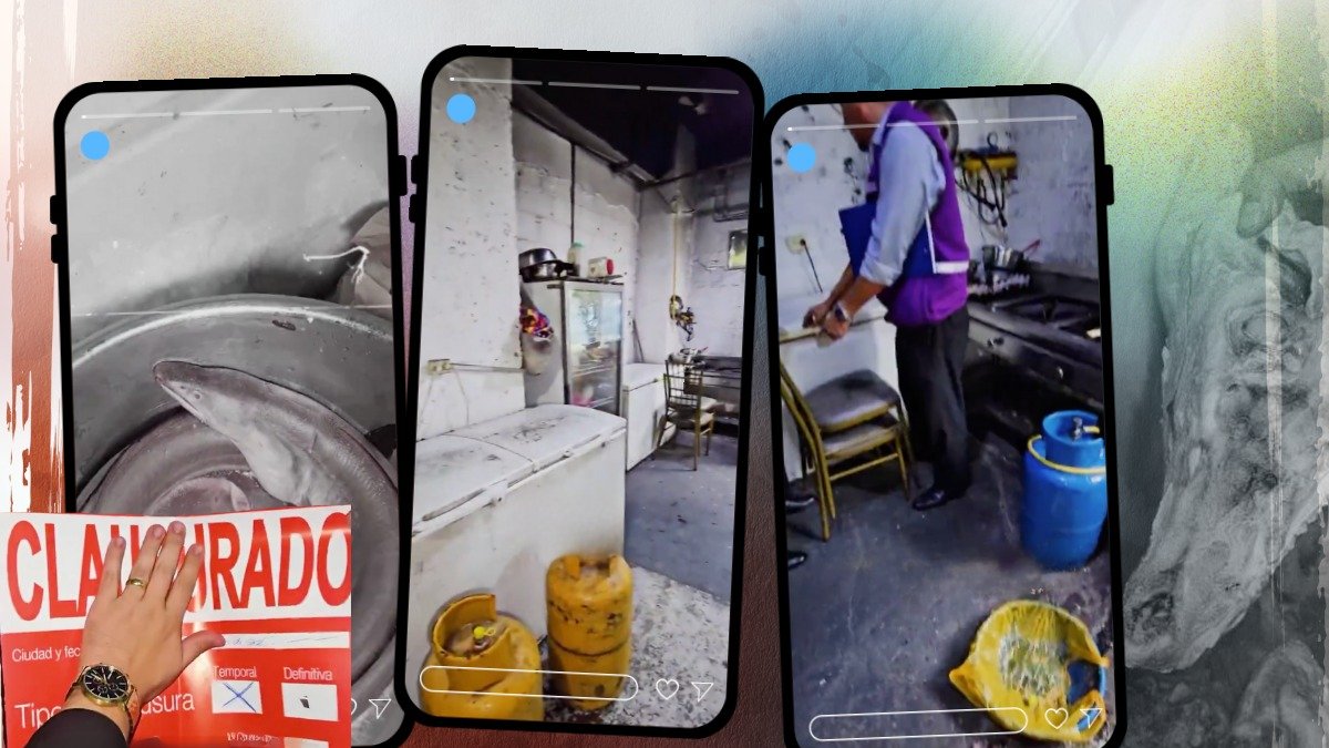 En el video publicado por Arcsa se observan anguilas y cráneos de animales congelados en el interior de los equipos de cocina del chifa clausurado.