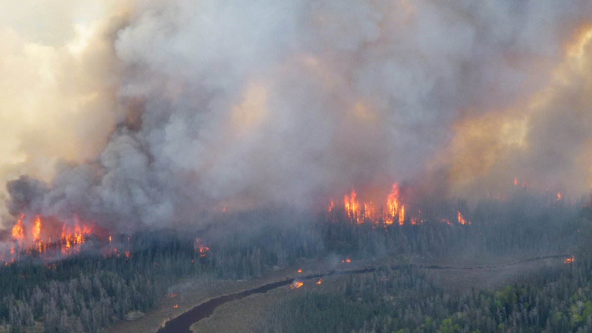 Incendios forestales en el Parque Provincial Nopiming en el área de Bird River, Manitoba, Canadá.